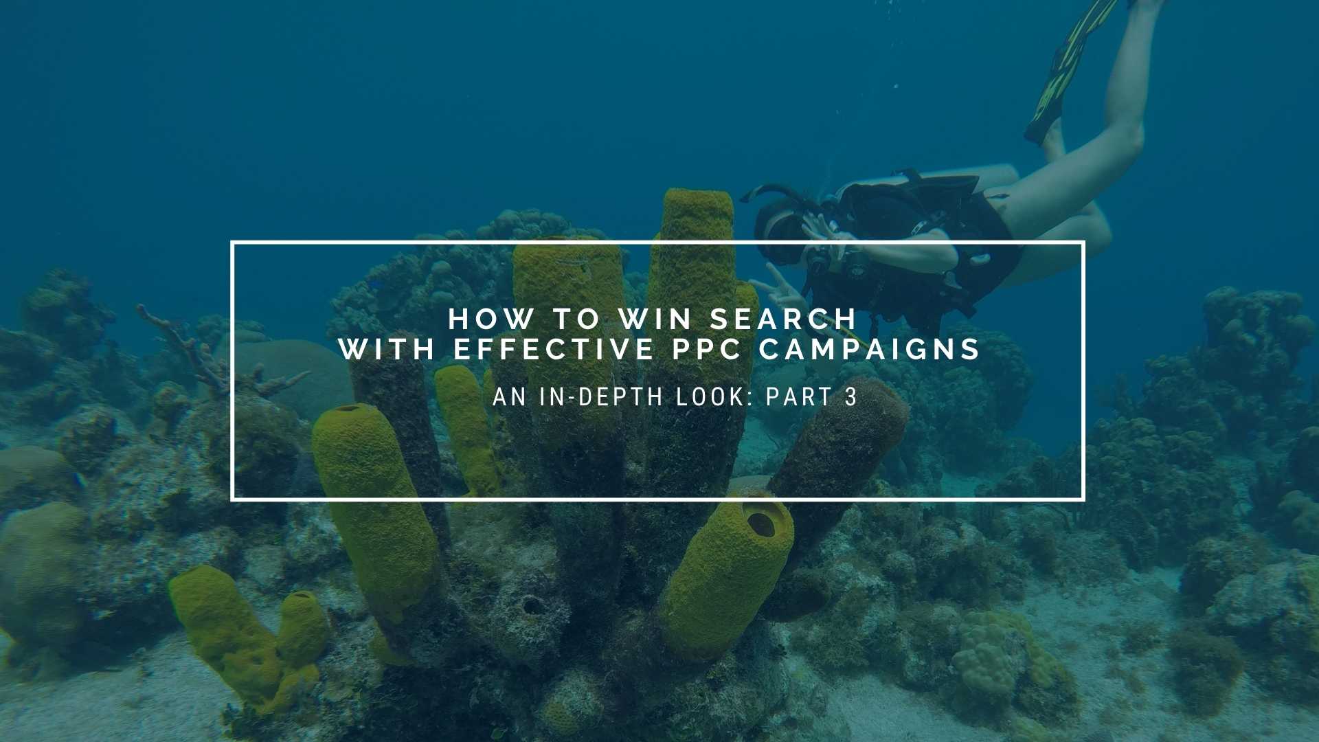 Win at Search with PPC - Part 3