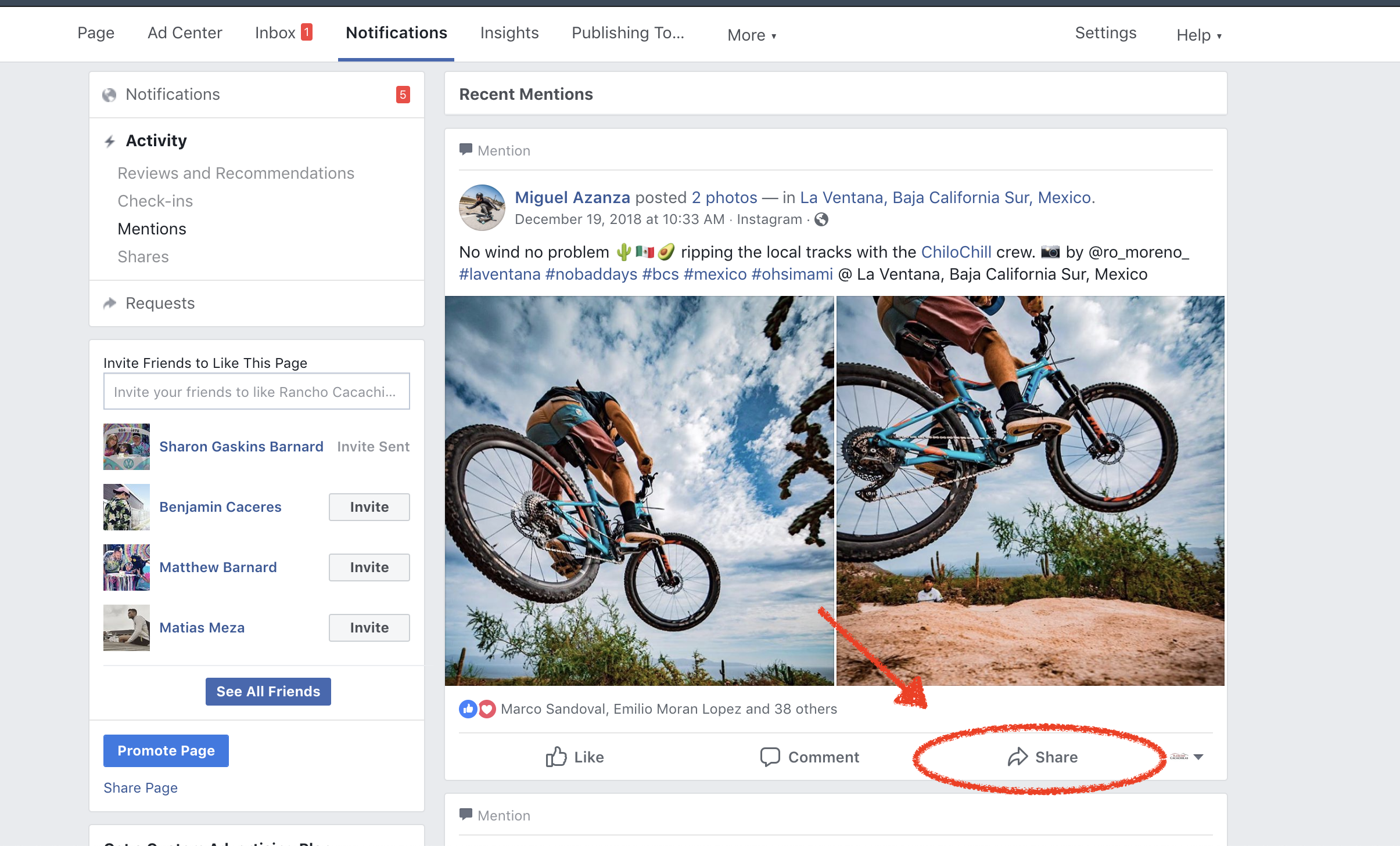 click the share button