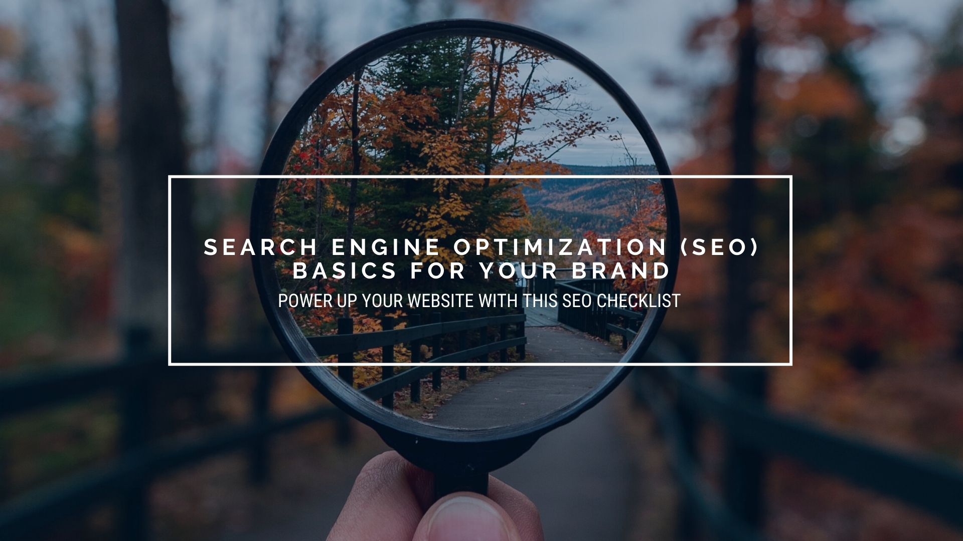 Search Engine Optimization Basics For Your Brand