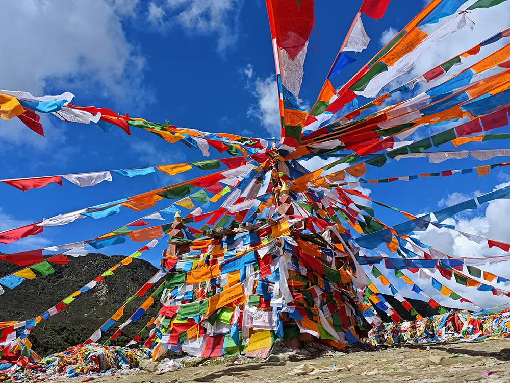 Tibetan Language Institute | Complete Digital Overhaul