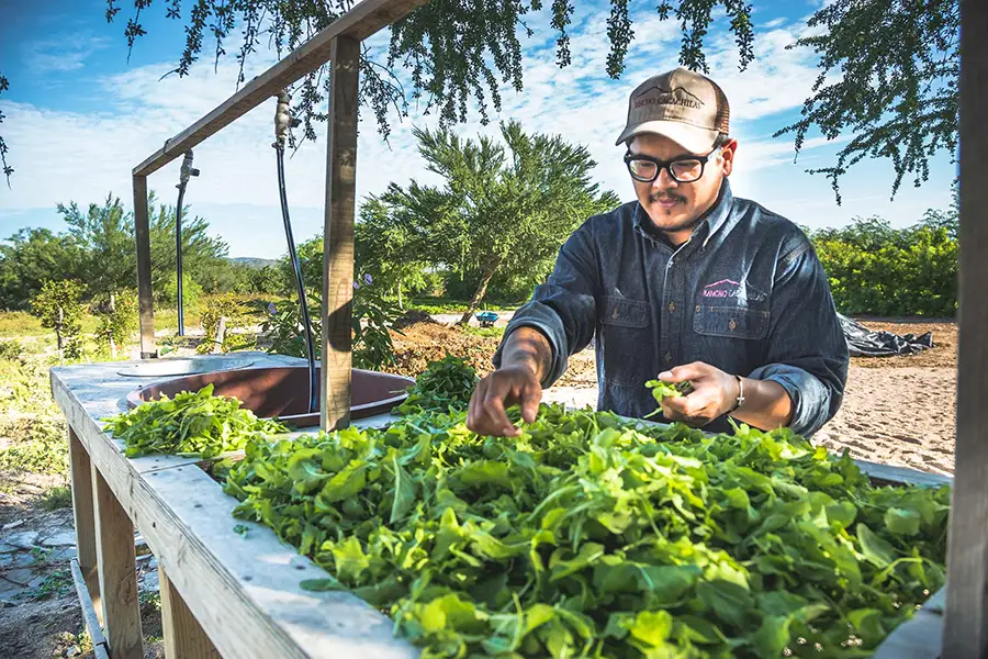 Rancho Cacachilas | Integrated Marketing